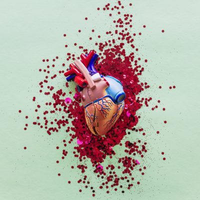 Cardiovascular Module